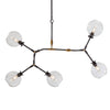 Adjustable Steel and Clear Glass Pendant Light