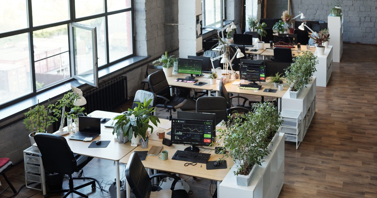 Feng shui office layout of desks with computer monitors and plants beside big windows