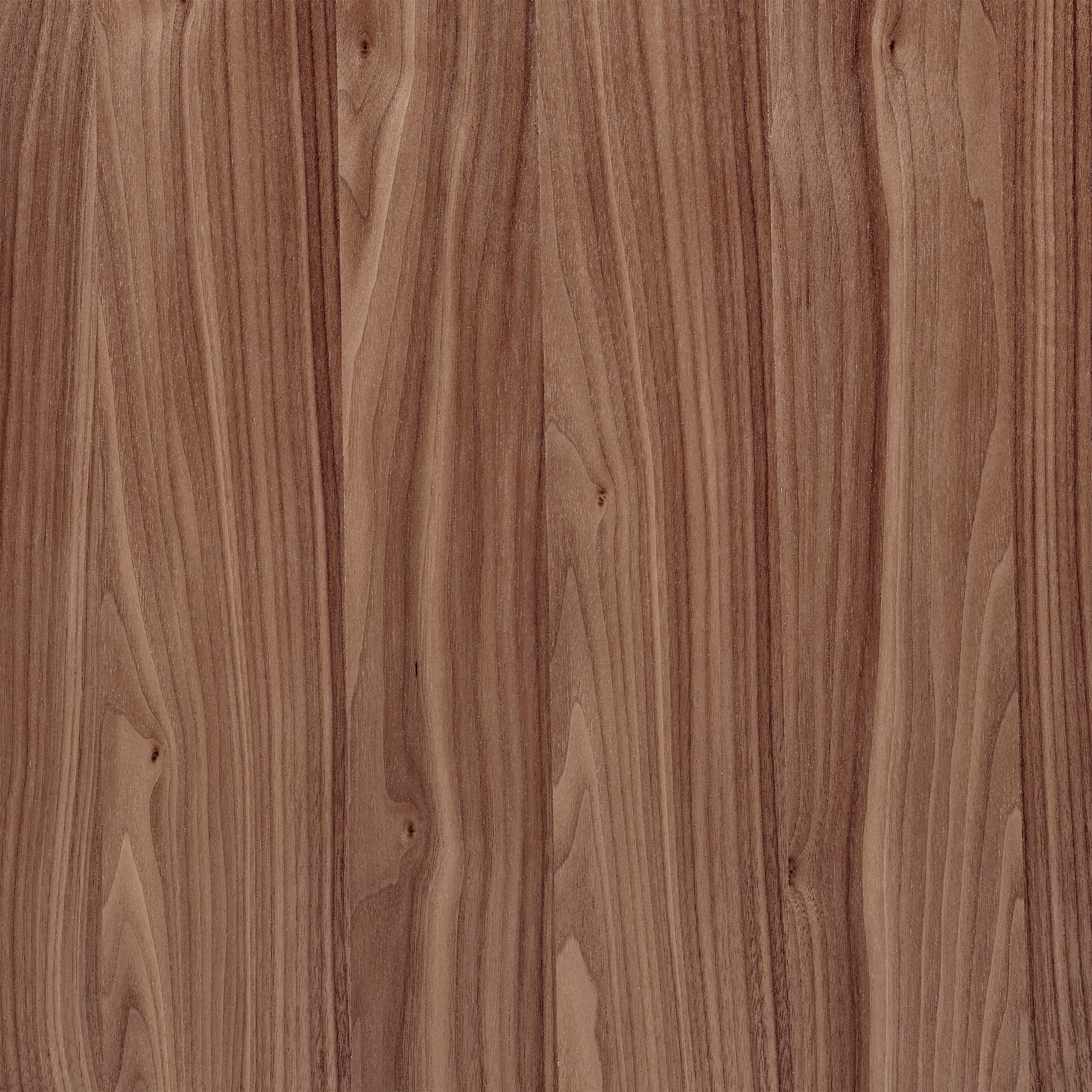 Oak 63" Walnut Rectangle Meeting Table