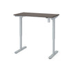 48" Programmable Standing Desk in Bark Gray