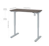 48" Programmable Standing Desk in Bark Gray