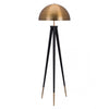 Black & Brass Domed Floor Lamp