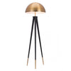 Black & Brass Domed Floor Lamp