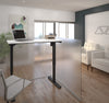Modern White 48" Desk with Height Adjustment from 28 - 45"