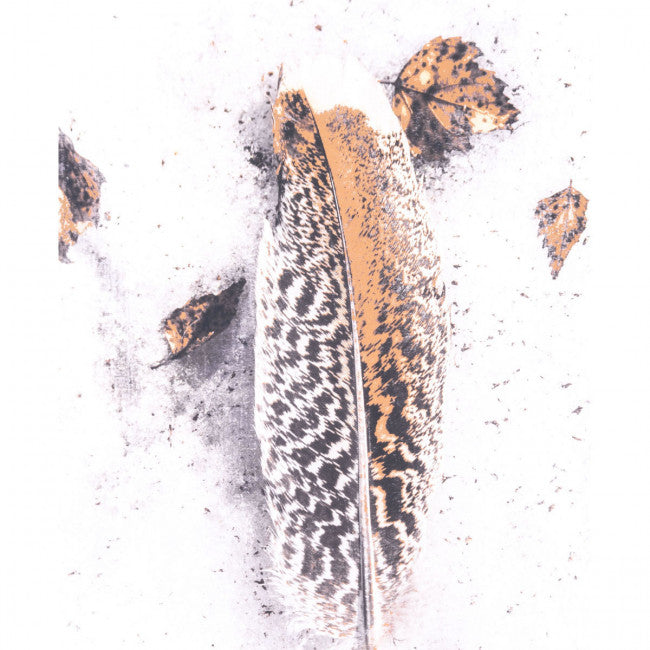 Office Wall Art w/ Feathered Plume & Autumn Leaves