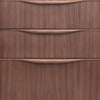 Mid-Century Sleek Walnut Storage Credenza