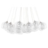 Sophisticated 19 Bulb Pendant Light with Clear Glass Orb Shades
