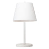 Subtle Desk Lamp in Matte White Steel