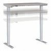 48" Adjustable Standing Desk in Platinum Gray