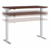 60" Cherry & Cool Gray Adjustable Standing Desk