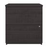 28" 2-Drawer Locking File Cabinet in Charcoal Maple