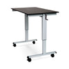 48" Sit-Stand Black Oak Office Desk w/ Wheels