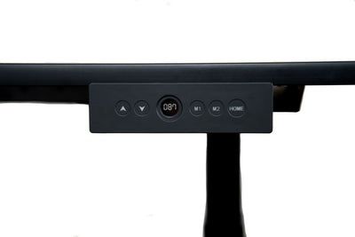 59" Standing Desk w/ Black Oak Veneer Top & Electric Height Adjustment